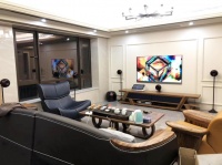 音响领域里，这才是潮流！