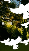 【领绣】新品发布丨《天使10》系列——秘林法则