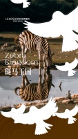 【领绣】新品发布丨《天使10》——斑马王国