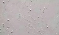 美巢400/600/800，为你的墙面装修增光添彩