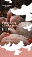 【领绣】新品发布丨《天使10》——自由欢庆