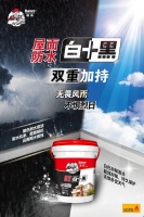 双重防水，专治屋面渗漏！