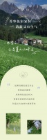 【领绣·菁华】元气色彩，打造凉爽的小清新家居风