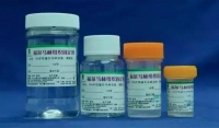 装修后味道很重是否甲醛超标？看完这个你就知道了！
