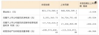 德尔未来2022上半年营收8.23亿 同比下降3.03%