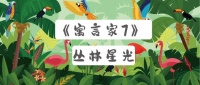 【领绣·菁华】新品发布丛林主题儿童房，让小小冒险家的梦想从此出发