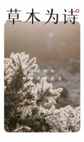 【领绣·菁华】寒露露凝而白，时光知秋，畅享诗意生活
