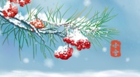 小雪将至，这样搭配让家更温暖