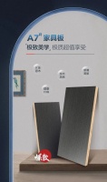 狂飙爆品 x A7ᴿ家具板丨极质超值，冲上潮流家居新秀榜