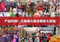 憋了三年赚不到钱？瓷砖增长王大角鹿将召开最大规模千人招商大会
