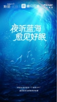 共邀喜马拉雅用户聆听治愈地球故事，斯丽比迪和一个地球OPF以“海洋哲学”愈睡眠