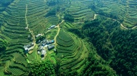 乡兴彩石瓦，助力乡村振兴，建设和美家庭