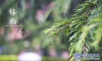 @正在过梅雨季的南方人，点击领取你家的墙布除霉防霉攻略