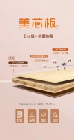 以爱为名·净芯守护 | 万象ENF级抑菌防霉美芯板，全新首发！
