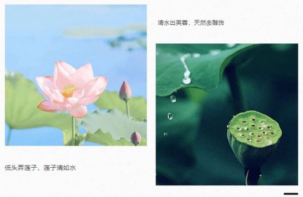 金玉名家新品I智金岩板肌肤砖900x2700mm,高颜百搭美出C位