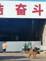 马无夜草不肥