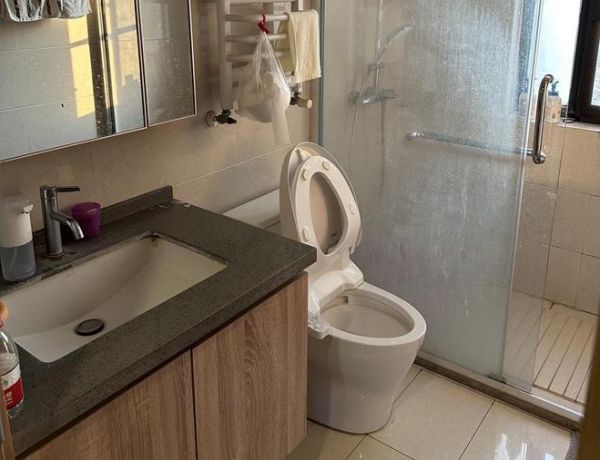 卫浴改造 在小空间里实现大设计