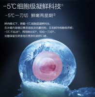冰箱怎么选？格力晶弘516全域养鲜冰箱为你解决所有保鲜难题！