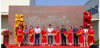 美和家居盛大开业，为荔浦市衣架行业发展注入新活力