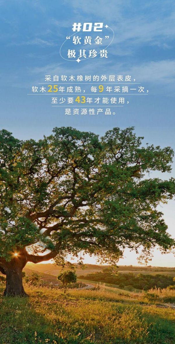 无惧挑剔眼光,装饰材料的天花板!