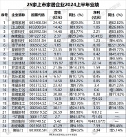 15家营收下降、7家净利增长…25大上市家居企业2024上半年业绩表现