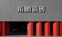 东鹏控股韧性生长，200+门店焕新背后的破局密码
