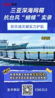 完好如初！联塑重力式网箱硬核抗台实战