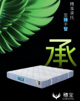 穗宝臻承床垫 | 至臻于智，承你所安
