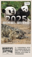 绿色栖息 守望未来，舒达如何定义可持续性睡眠？