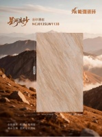 能强瓷砖2025新品【金砂漫岩】｜为空间赋予无限可能