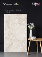 粤强宗师M9·石光流金｜理想生活的底色，从此处铺陈