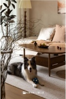 2025成都装修攻略｜个性化定制设计，这几家宝藏公司带你解锁专属家居美学