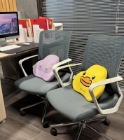 按摩靠垫怎么选？2026高品质热门产品推荐及功能深度解析