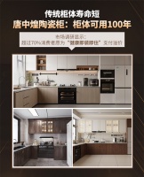 唐中煌陶瓷柜：柜体可用100年，硬核优势掘金健康家居