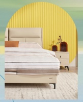 穗宝集团蕾莱亚×梵洛贝床架 | 颜值质感两不误