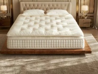 2026弹簧床垫选购实测指南：护脊静音环保三重把关，沛觉优选不踩坑