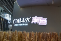 双轮联动深耕北方市场 尼尔科达以自然与赋能破局整装赛道