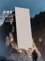 承包全屋的高级与治愈｜真石釉新品云脉石