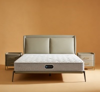 2026年颈腰椎护脊床垫推荐：专业医学指导