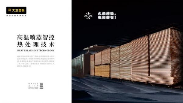 大卫地板：以标准定义品质，用科技守护健康